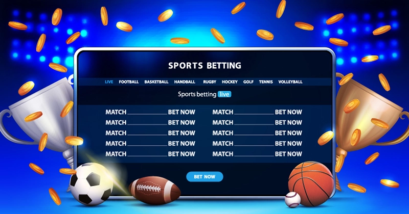 Setting Up a Bookie Website Free