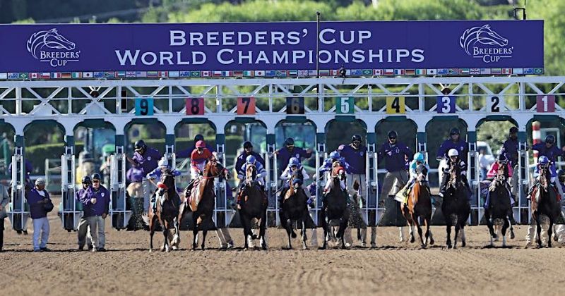 Breeders’ Cup 2023